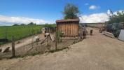 Acheter Terrain Soultz-sous-forets 35000 euros