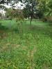 Land NEUILLY-PLAISANCE 