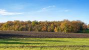 Annonce Vente Terrain Jeu-les-bois
