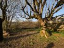 Annonce Vente Maison Bonnetan