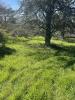 For sale Land Gratentour  31150 9842 m2