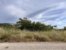 Annonce Vente Terrain Cornas