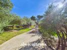House CHEVAL-BLANC 