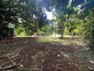 Annonce Vente Terrain Baie-mahault