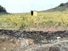 Vente Terrain Collioure 66