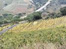 Annonce Vente Terrain Collioure