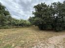 Annonce Vente Terrain Castelnou