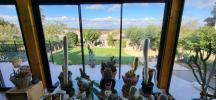 Acheter en viager Prestige Ventenac-en-minervois 184000 euros