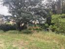 Vente Terrain Perpignan 66