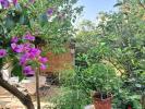 Annonce Vente 4 pi�ces Maison Capestang