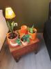 Acheter Appartement 68 m2 Perpignan