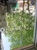 Louer Appartement Nantes 650 euros