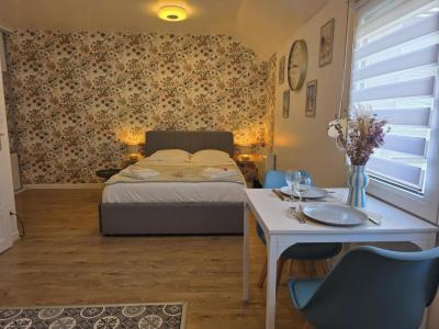 Location Appartement REIMS 51100