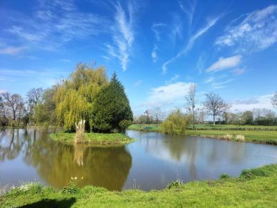 Vente Terrain SAINT-CYR-EN-PAIL 53140