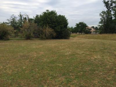 Vente Terrain CASTELNAU-DE-MEDOC 33480