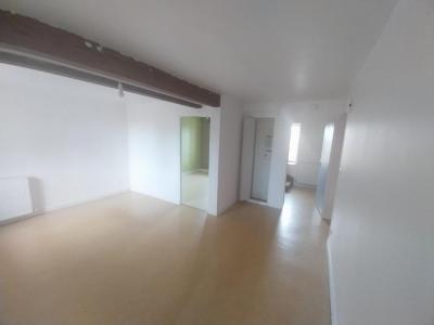 Location Appartement ROCHE-EN-BRENIL  21