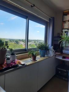 Location Appartement GRADIGNAN 33170