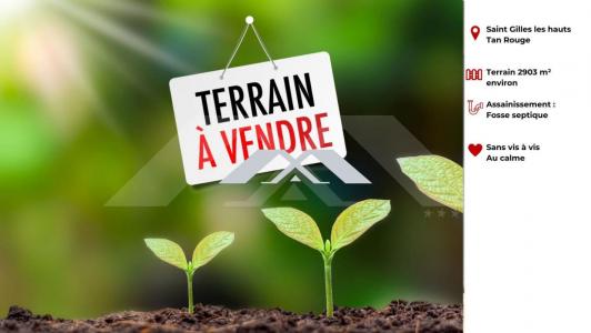 Vente Terrain BERNICA SAINT-PAUL 974