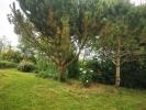 Land  TALMONT, LIEU DIT: LES SO