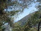 Acheter Terrain 2925 m2 Falicon