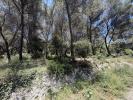 Acheter Terrain Falicon Alpes Maritimes