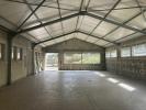 Louer Local commercial 230 m2 Quimper