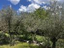 Acheter Maison Saint-maximin-la-sainte-baume Var