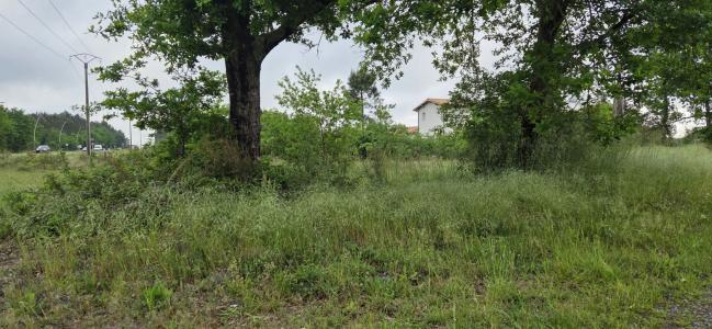Vente Terrain PARENTIS-EN-BORN  40