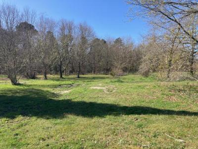 Vente Terrain LANTON 33138