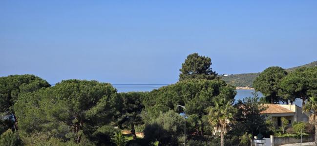 Vente Appartement COGGIA SAGONE 20