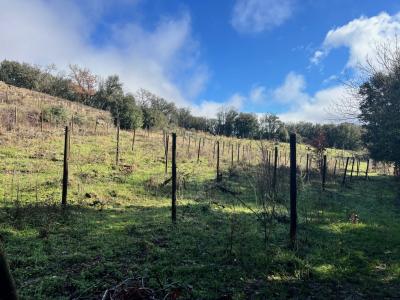 Vente Terrain SAINT-JULIEN ACCESSIBLE 34