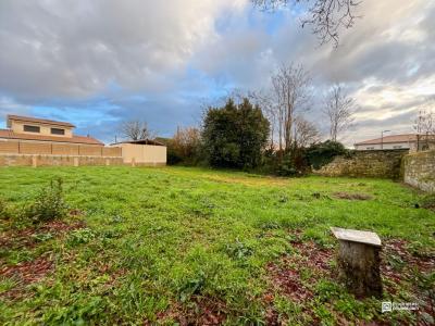 Vente Terrain SAINT-ANDRE-DE-CUBZAC 33240