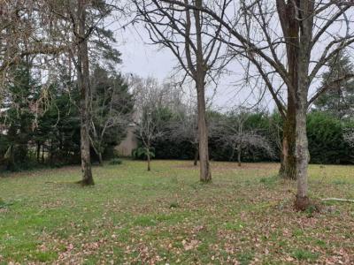 Vente Terrain SAINT-CAPRAIS-DE-BORDEAUX 33880