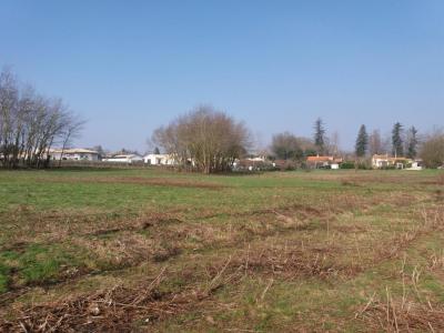 Vente Terrain ABZAC 33230