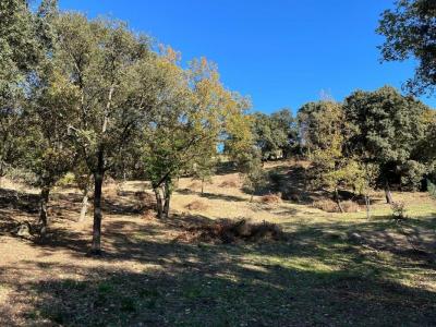 For sale Land PUGET  84