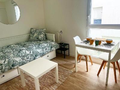 Location Appartement NANTES 44000