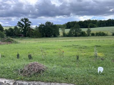 Vente Terrain GUEUX 51390