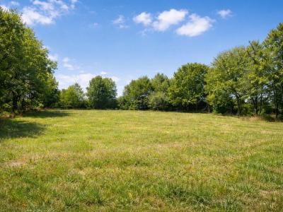 Vente Terrain SILLERY 51500