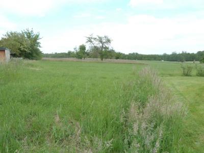 Vente Terrain LAUBACH 67580