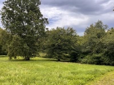 Vente Terrain CAMARSAC 33750