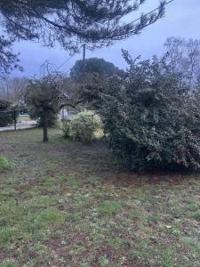 Vente Terrain FARGUES-SAINT-HILAIRE 33370