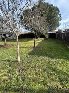 Vente Terrain CARIGNAN-DE-BORDEAUX 33360