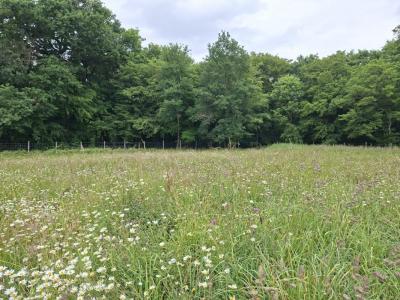 Vente Terrain BOULIAC 33270