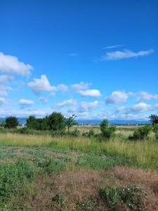 Vente Maison SAINTE-CROIX-EN-PLAINE 68127
