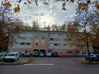 Location Appartement SAINT-AVOLD 57500