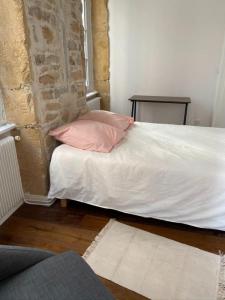 Location Appartement LYON-1ER-ARRONDISSEMENT 69001