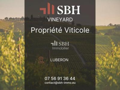 Vente Prestige ROUSSILLON 84220