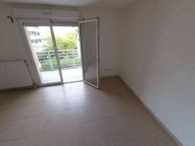 Location Appartement 2 pi�ces SAINT-JEAN-DE-BRAYE 45800