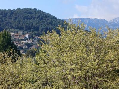 Vente Appartement MARSEILLE-9EME-ARRONDISSEMENT 