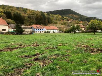 Vente Terrain ROMBACH-LE-FRANC  68